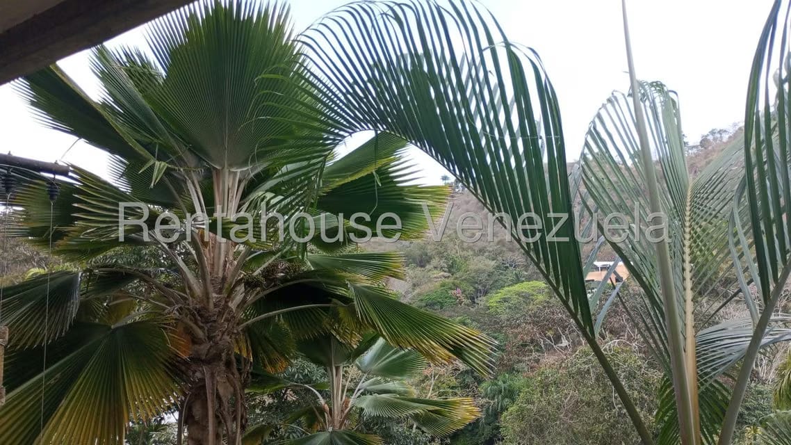 Apartamento (Multiples Niveles) en Alquiler en Colinas del Tamanaco, Distrito Metropolitano - 24