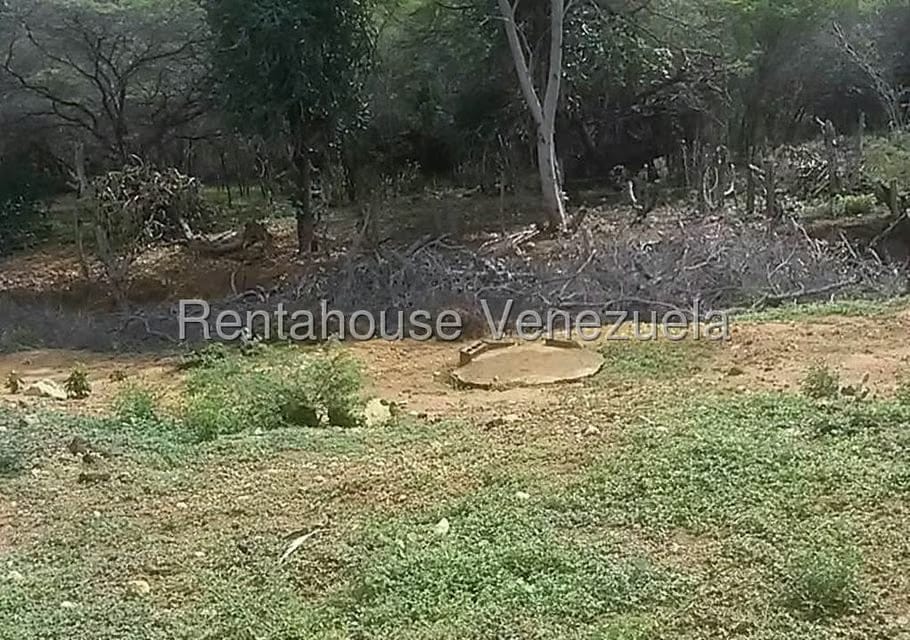 Terreno (Residencial) en Venta en Intercomunal Coro La Vela, Falcon - 4