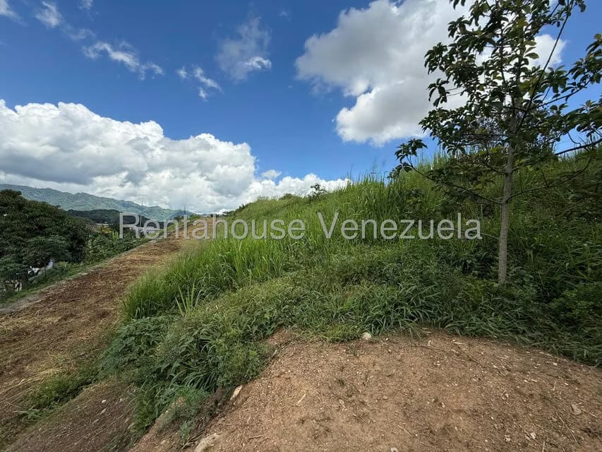 Terreno (Comercial) en Venta en La Rosa, Miranda - 2