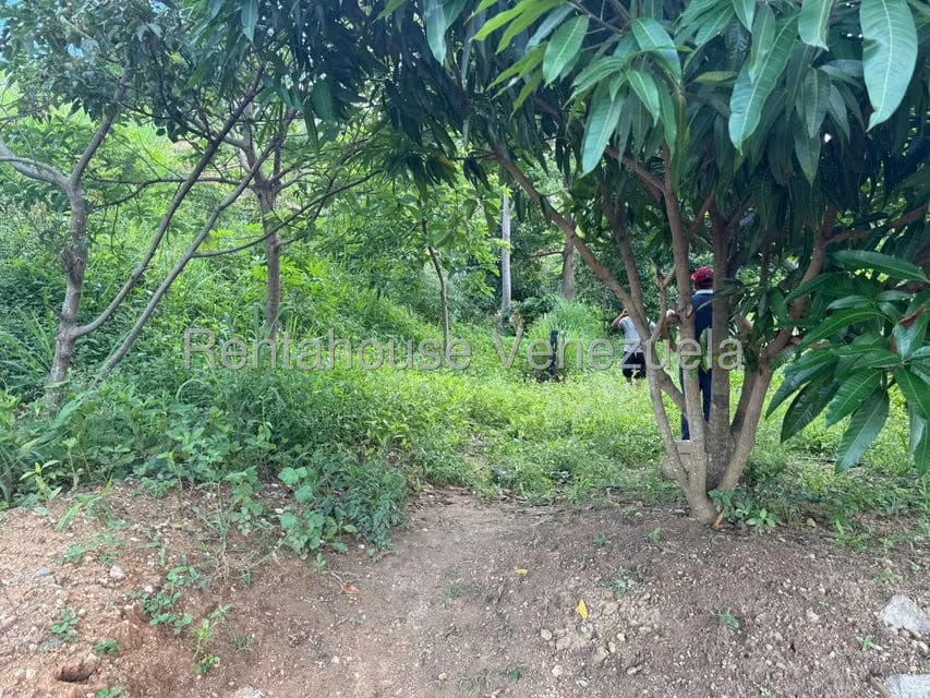 Terreno (Comercial) en Venta en La Rosa, Miranda - 4