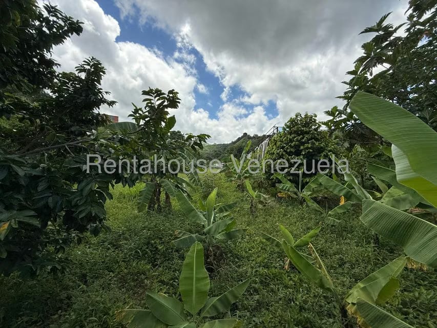 Terreno (Comercial) en Venta en La Rosa, Miranda - 5