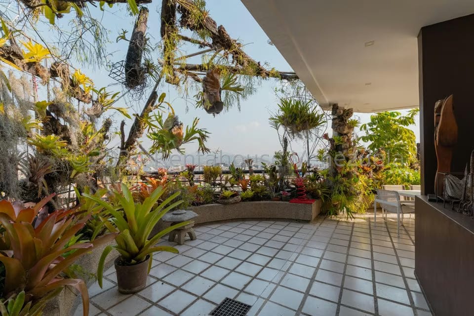 Apartamento (1 Nivel) en Venta en Los Palos Grandes, Distrito Metropolitano - 49