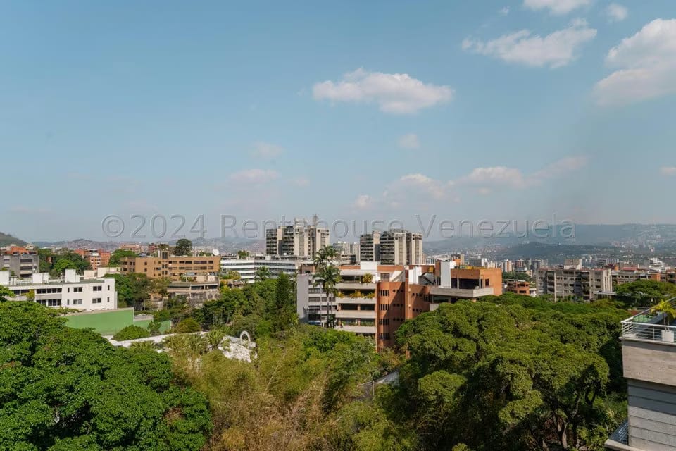 Apartamento (1 Nivel) en Venta en Los Palos Grandes, Distrito Metropolitano - 95