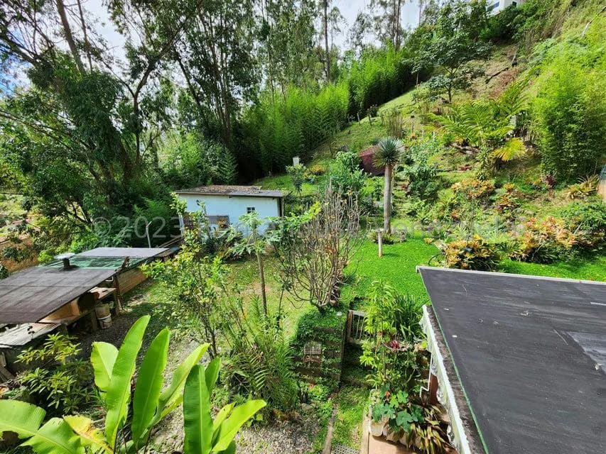 Casa (Duplex) en Venta en Colinas de Carrizal, Miranda - 13