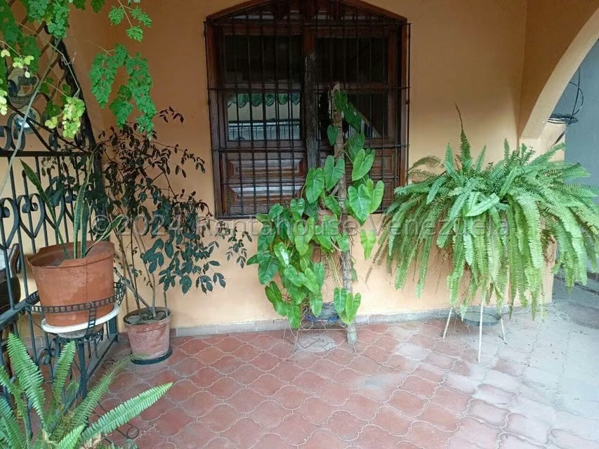 Comercial (Local Comercial) en Alquiler en El Limon, Aragua - 30