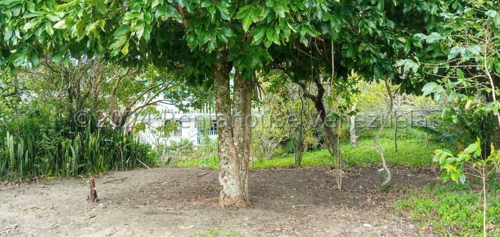 Terreno (Comercial) en Venta en Jimenez, Lara - 12