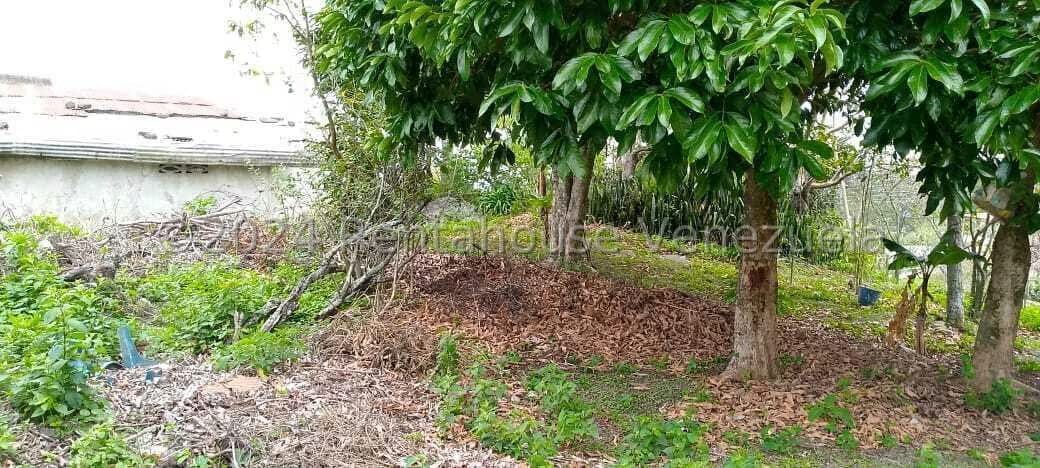 Terreno (Comercial) en Venta en Jimenez, Lara - 14