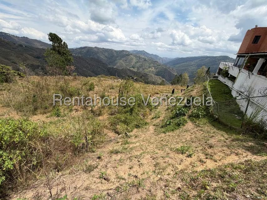 Terreno (Finca) en Venta en Barutaima, Miranda - 2