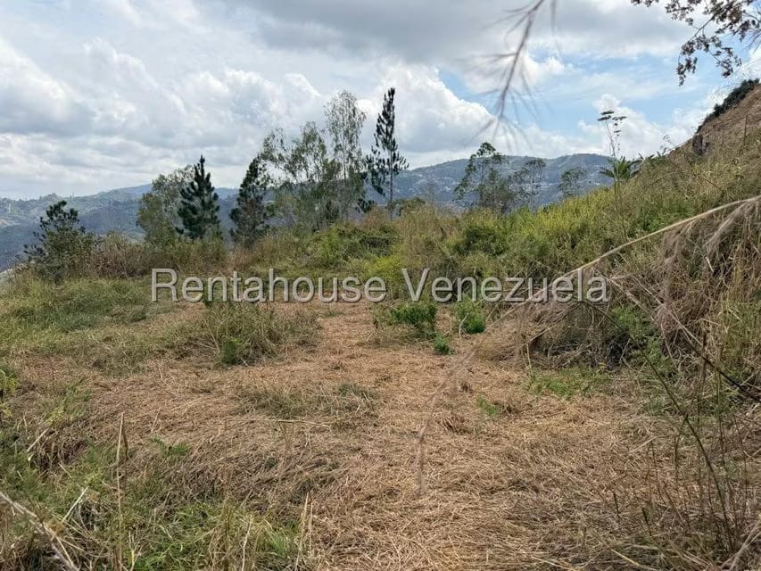 Terreno (Finca) en Venta en Barutaima, Miranda - 13