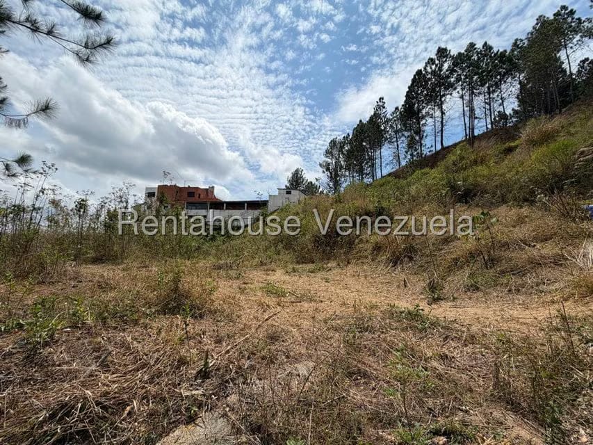Terreno (Finca) en Venta en Barutaima, Miranda - 17