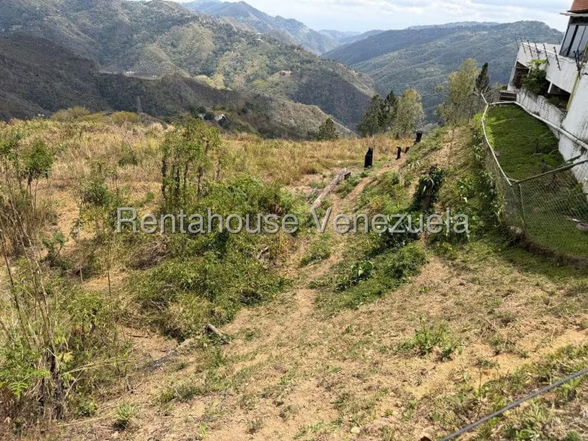 Terreno (Finca) en Venta en Barutaima, Miranda - 4