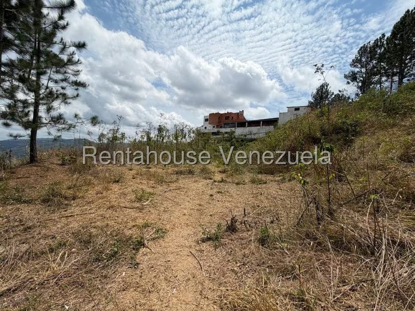 Terreno (Finca) en Venta en Barutaima, Miranda - 6