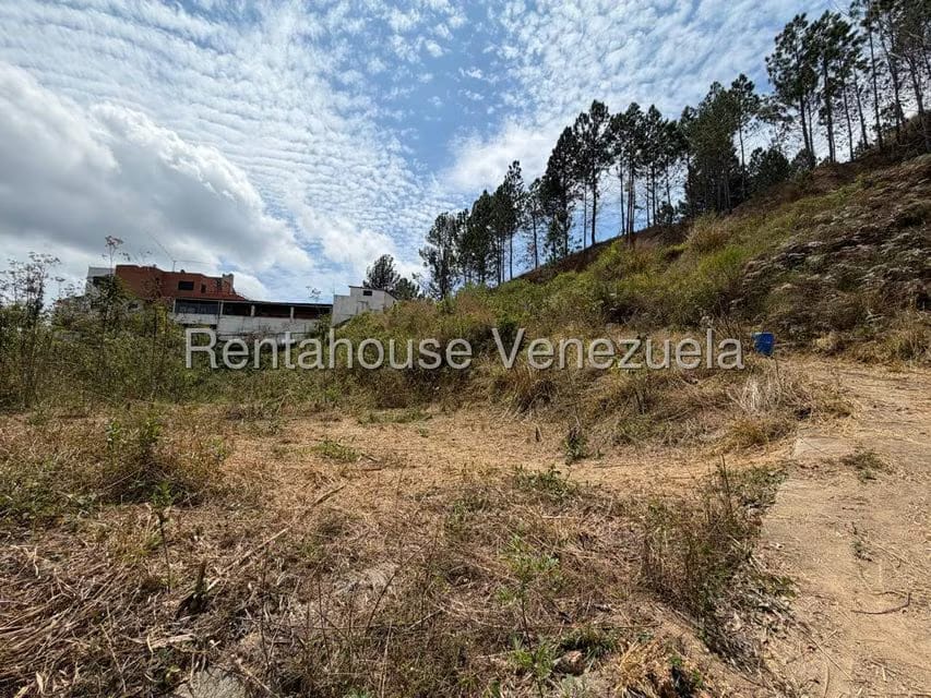 Terreno (Finca) en Venta en Barutaima, Miranda - 9