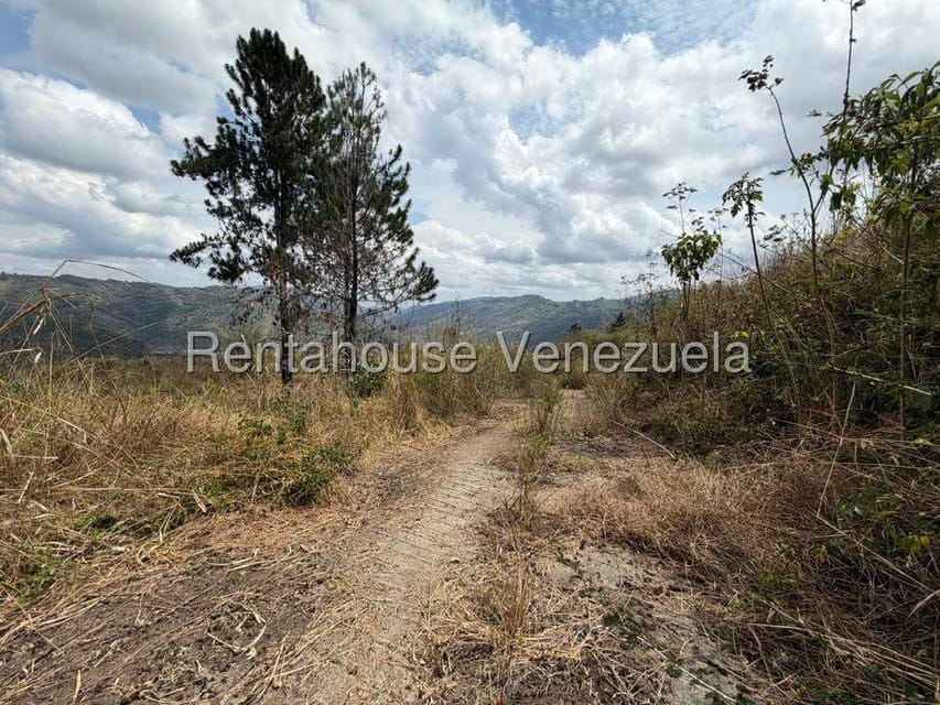 Terreno (Finca) en Venta en Barutaima, Miranda - 10