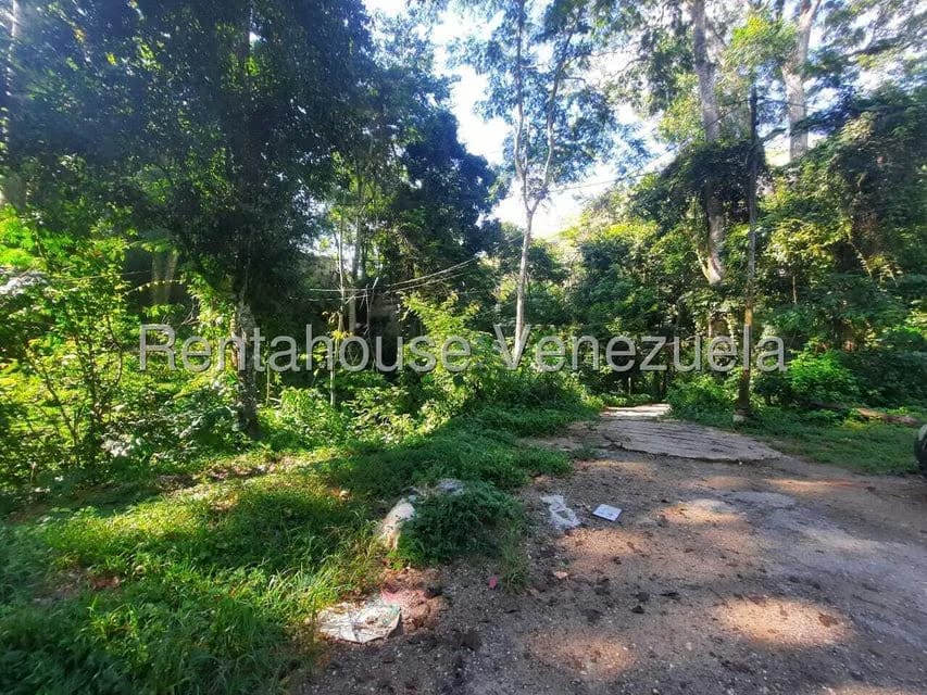 Terreno (Residencial) en Venta en Los Robles, Distrito Metropolitano - 11