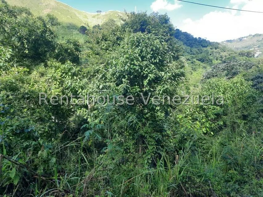 Terreno (Residencial) en Venta en Los Robles, Distrito Metropolitano - 9