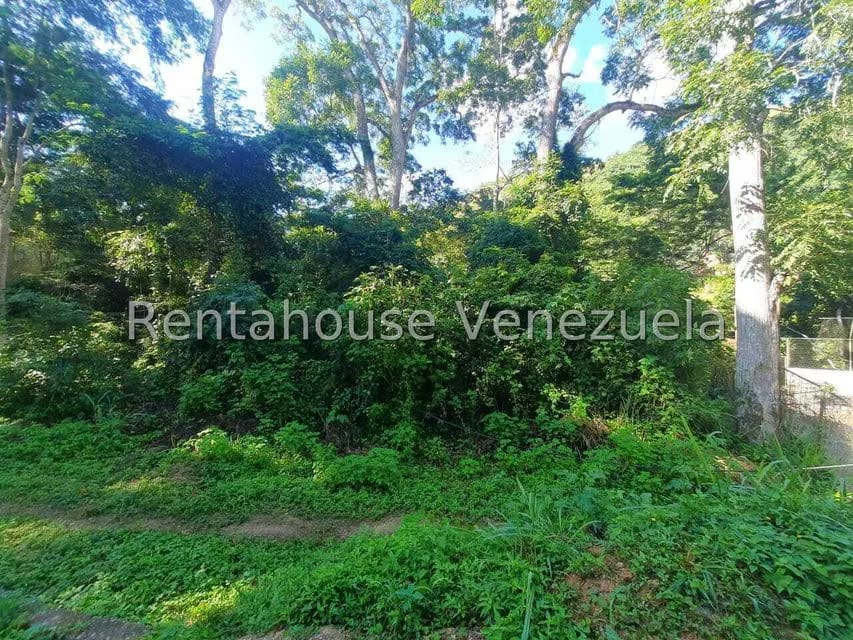 Terreno (Residencial) en Venta en Los Robles, Distrito Metropolitano - 10