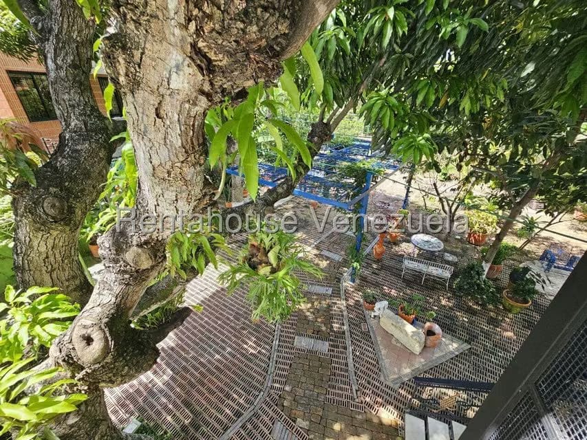 Comercial (Local Comercial) en Venta en San Bernardino, Distrito Metropolitano - 46