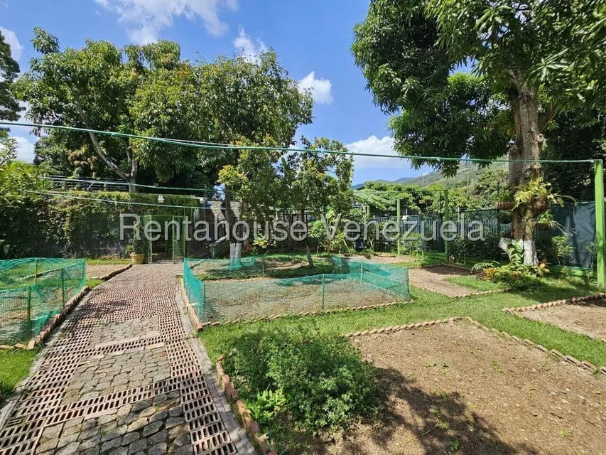 Comercial (Local Comercial) en Venta en San Bernardino, Distrito Metropolitano - 52