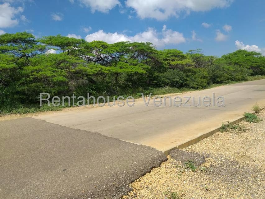 Terreno (Comercial) en Venta en Los Taques, Falcon - 12