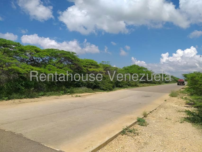 Terreno (Comercial) en Venta en Los Taques, Falcon - 14