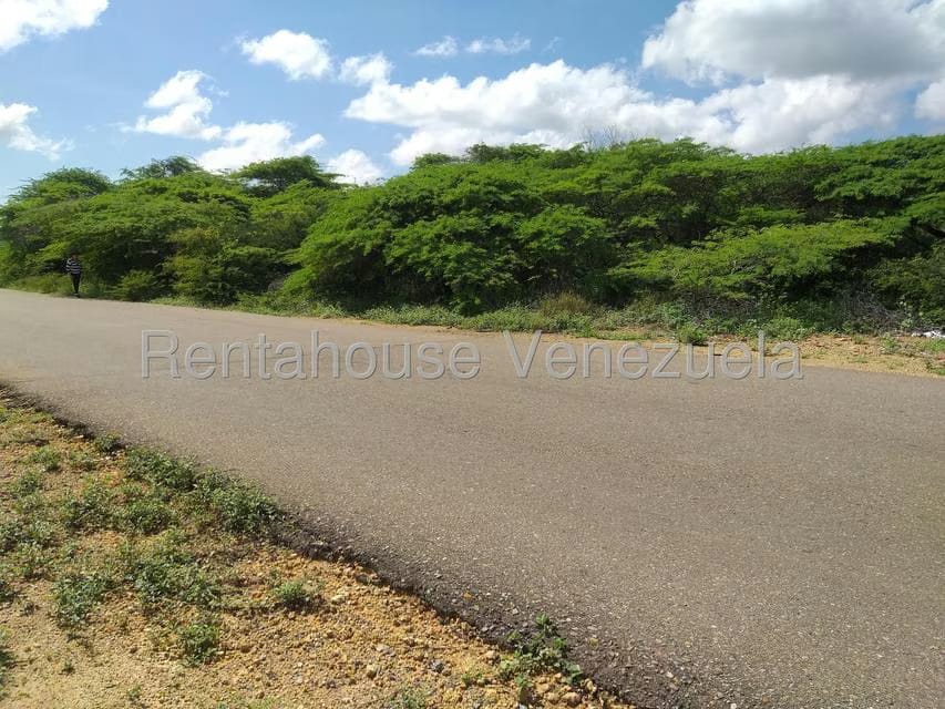 Terreno (Comercial) en Venta en Los Taques, Falcon - 17