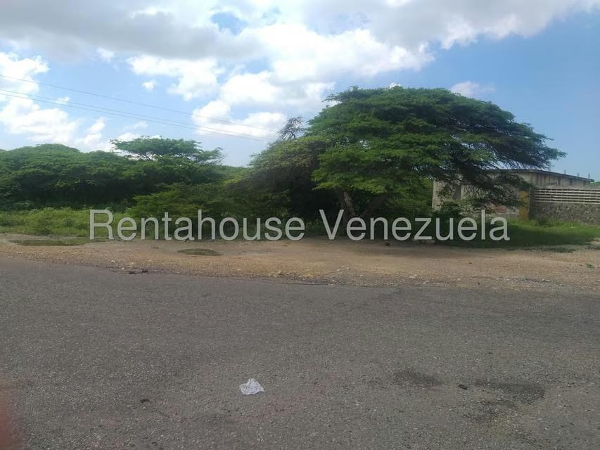 Terreno (Comercial) en Venta en Los Taques, Falcon - 19