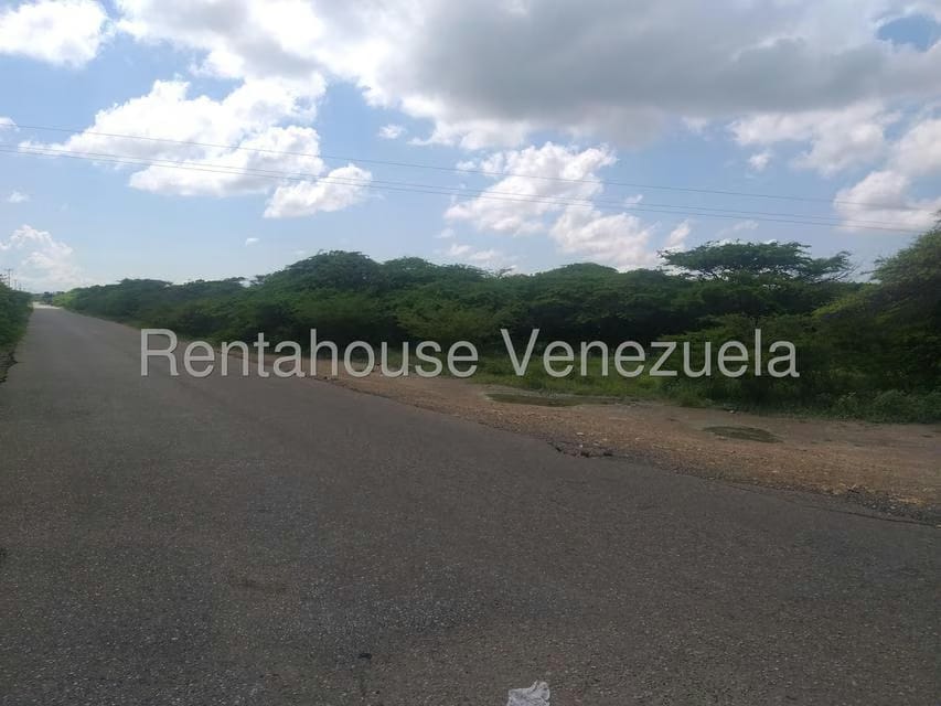 Terreno (Comercial) en Venta en Los Taques, Falcon - 20