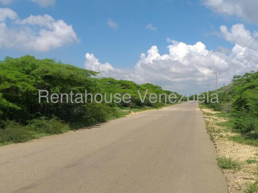 Terreno (Comercial) en Venta en Los Taques, Falcon - 9