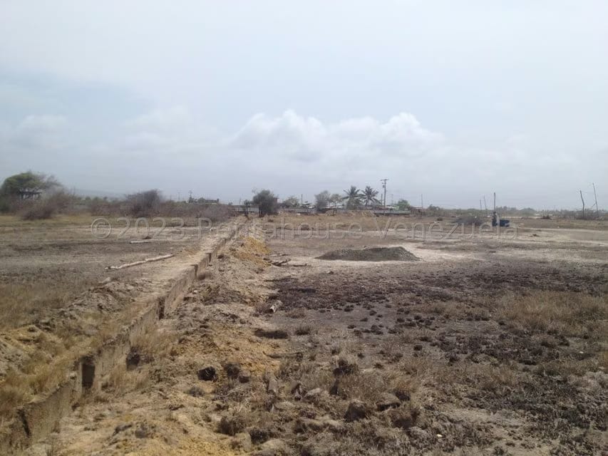 Terreno (Comercial) en Venta en Playa Norte, Falcon - 4