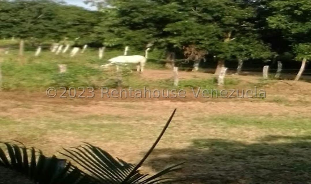 Terreno (Comercial) en Venta en Prado Mar, Falcon - 5