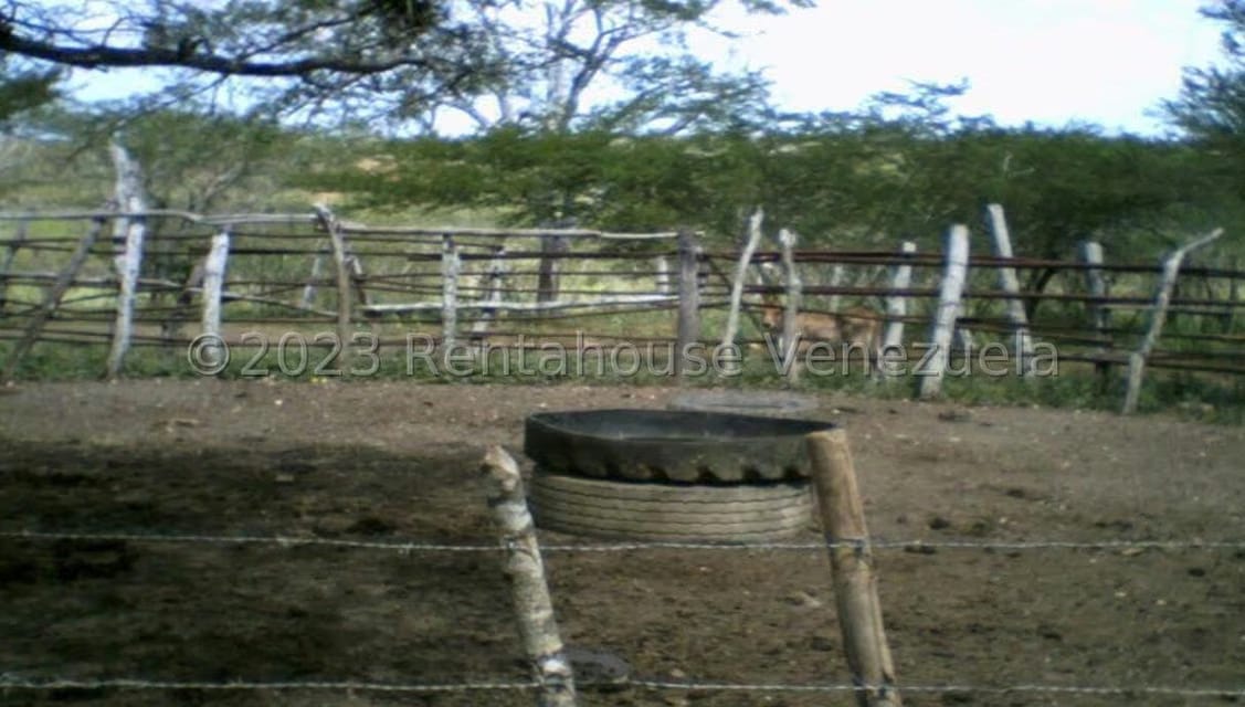 Terreno (Comercial) en Venta en Prado Mar, Falcon - 7