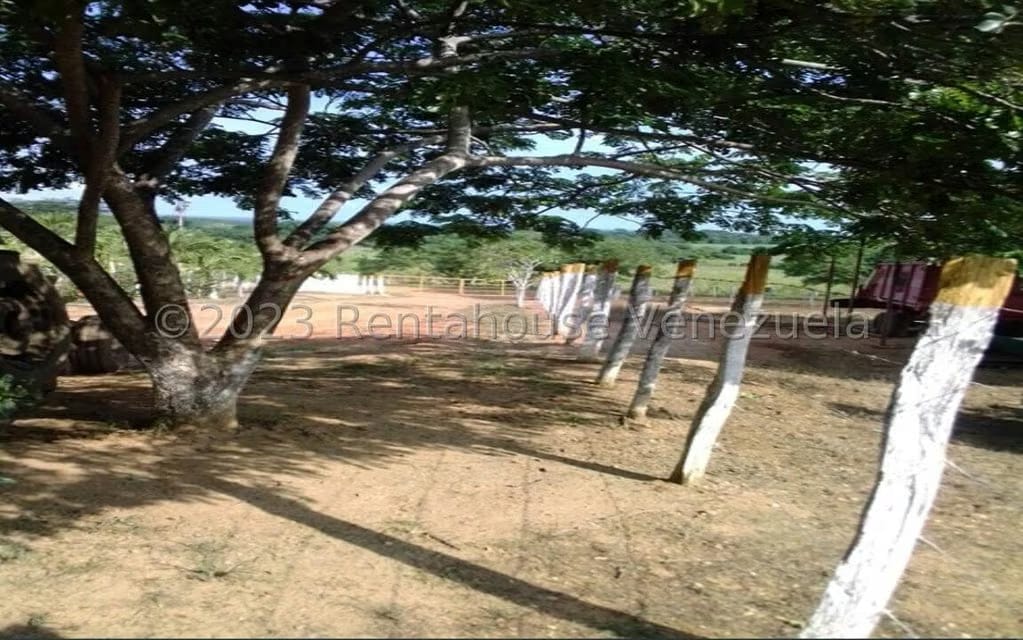 Terreno (Comercial) en Venta en Prado Mar, Falcon - 8