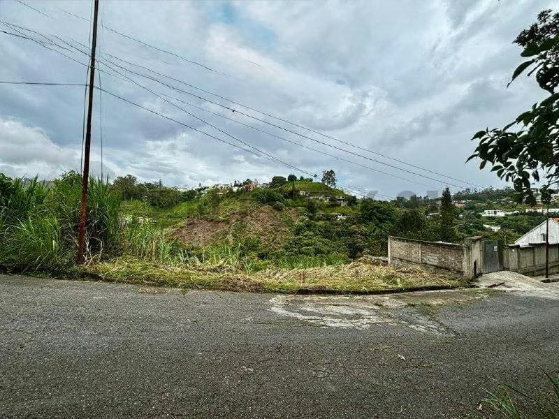 Terreno en venta 1200m2 todos los servicios Urb Pan de azúcar Carrizal - 3