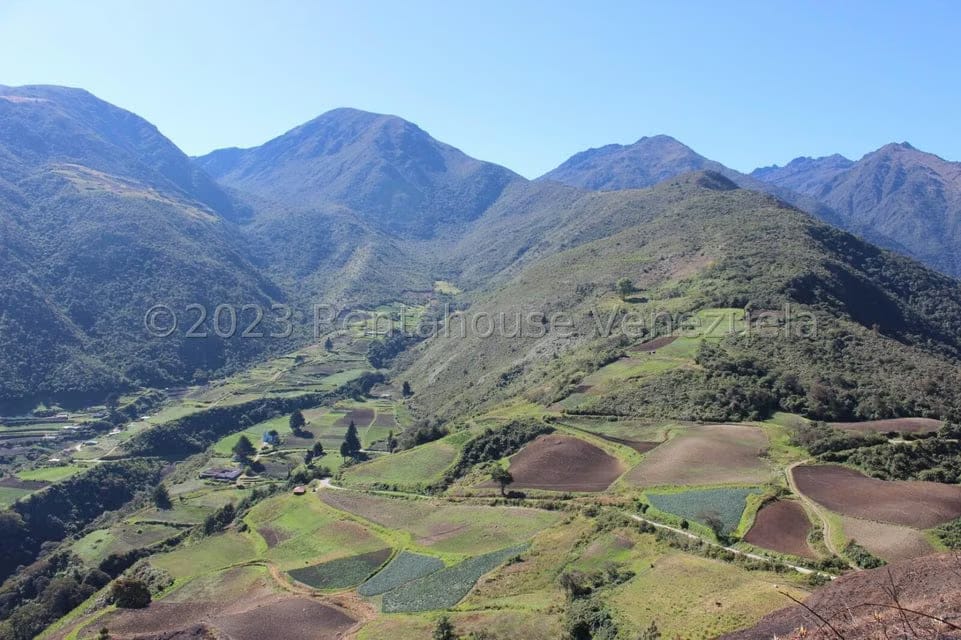 Terreno (Finca) en Venta en Las Porqueras, Merida - 3