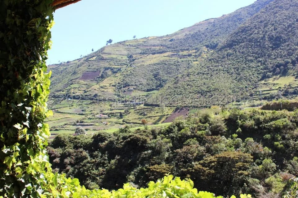 Terreno (Finca) en Venta en Las Porqueras, Merida - 58