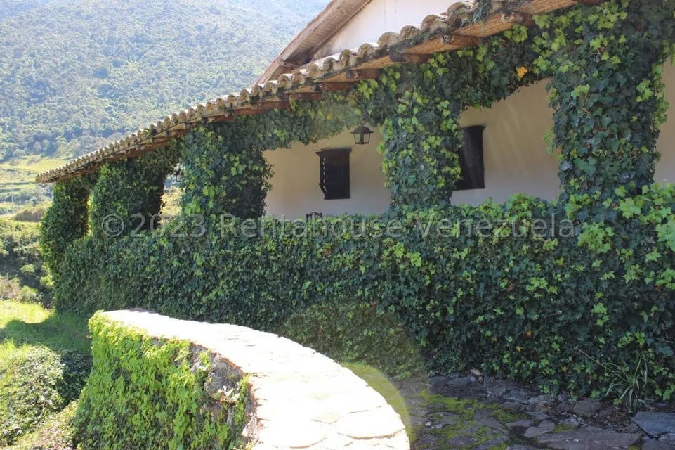Terreno (Finca) en Venta en Las Porqueras, Merida - 64