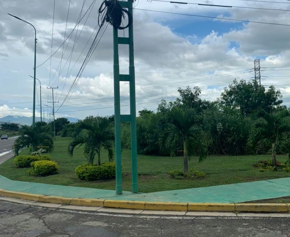 TERRENO CARRETERA NACIONAL LOS GUAYOS, CARABOBO. - 2