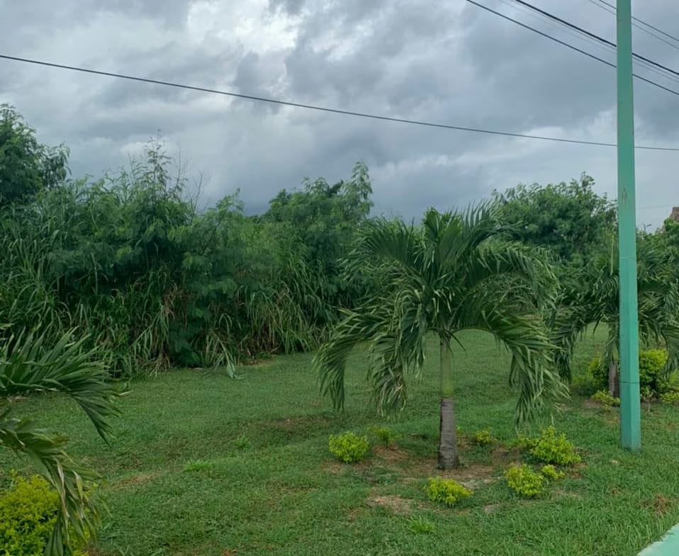TERRENO CARRETERA NACIONAL LOS GUAYOS, CARABOBO. - 3