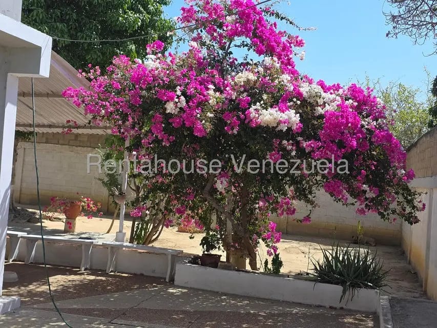 Terreno (Comercial) en Venta en Cantarrana, Sucre - 32