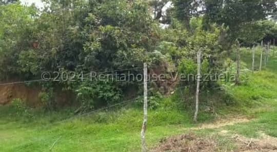 Terreno (Residencial) en Venta en Pie del Tiro, Merida - 2