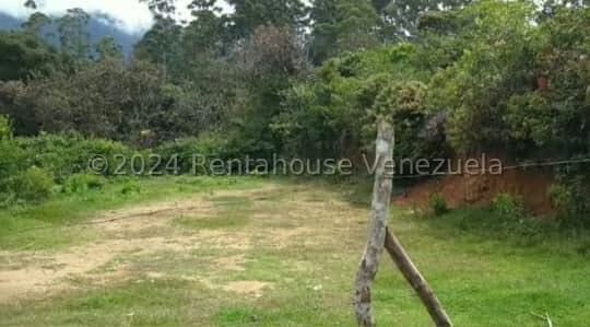 Terreno (Residencial) en Venta en Pie del Tiro, Merida - 5