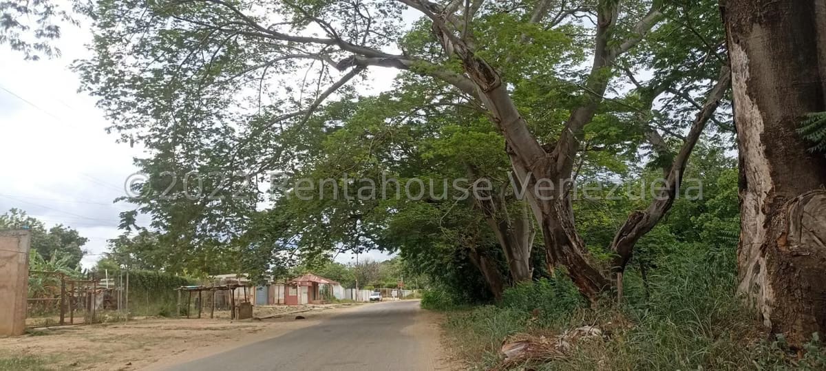Terreno (Comercial) en Venta en Los Bucares, Zulia - 3
