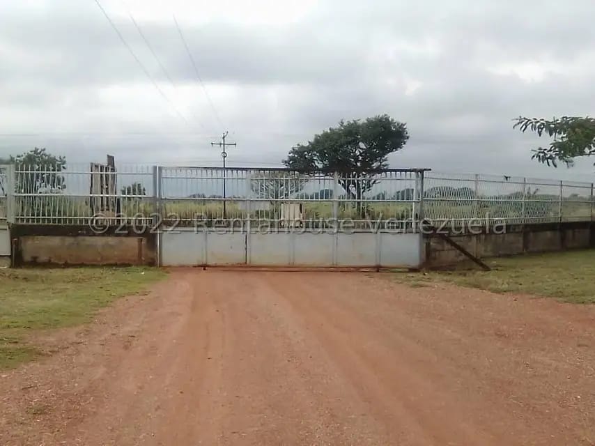 Comercial (Galpon - Deposito) en Venta en Cantaclaro, Cojedes - 11