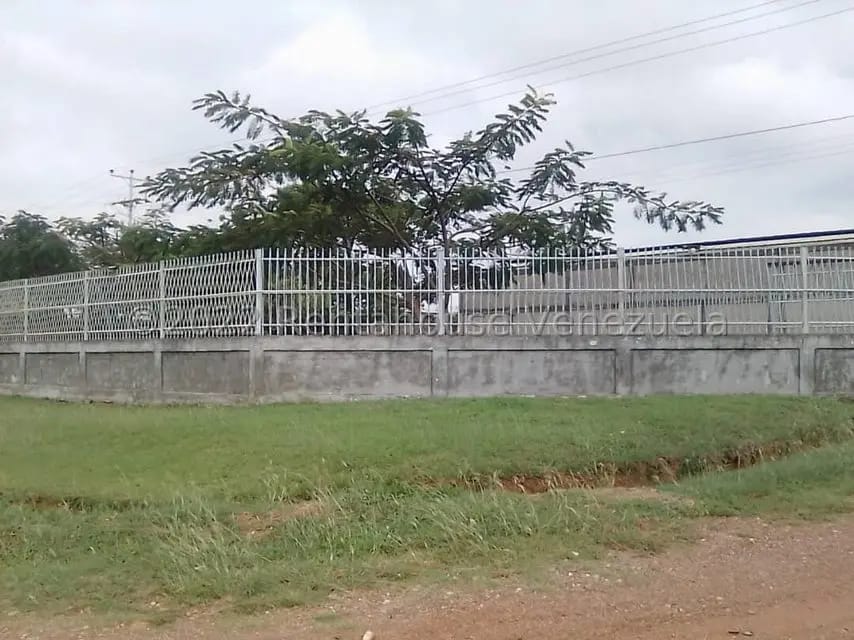 Comercial (Galpon - Deposito) en Venta en Cantaclaro, Cojedes - 10