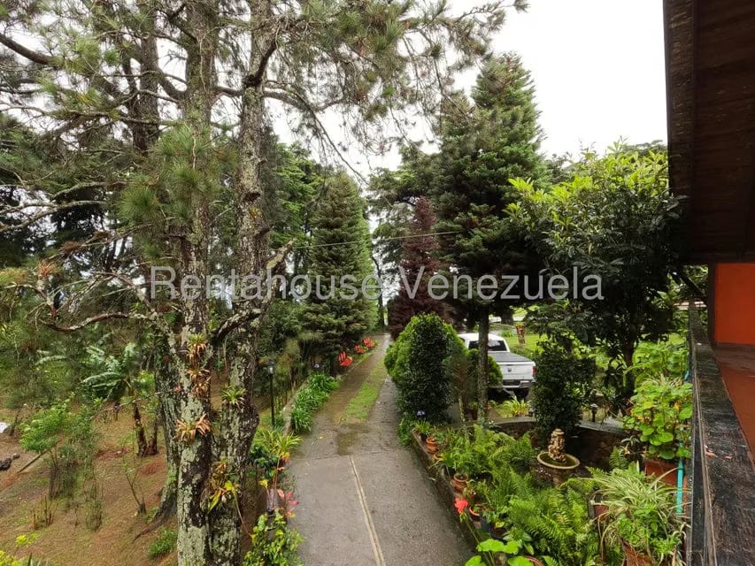 Casa (Multipes Niveles) en Venta en Jimenez, Lara - 26