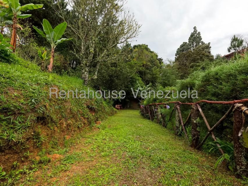 Casa (Multipes Niveles) en Venta en Jimenez, Lara - 44