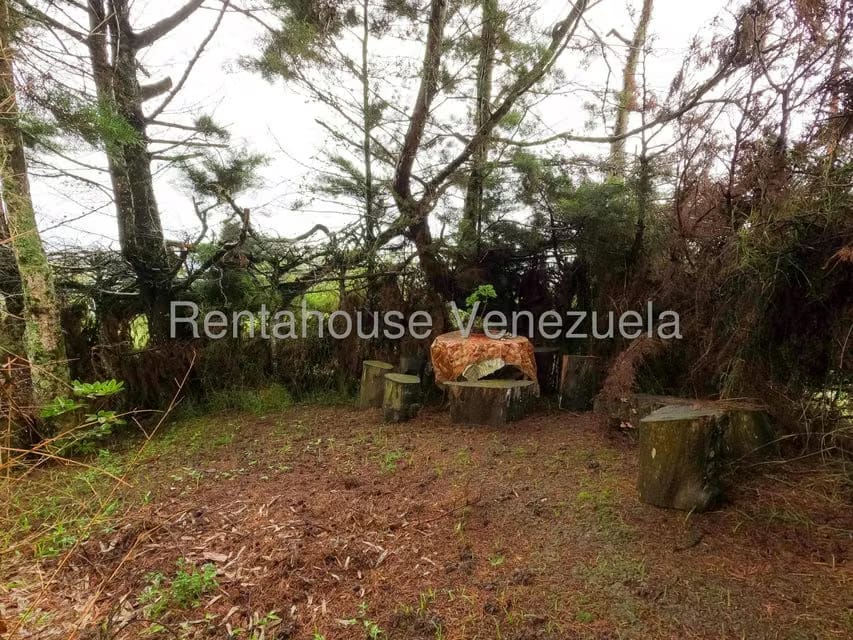 Casa (Multipes Niveles) en Venta en Jimenez, Lara - 45