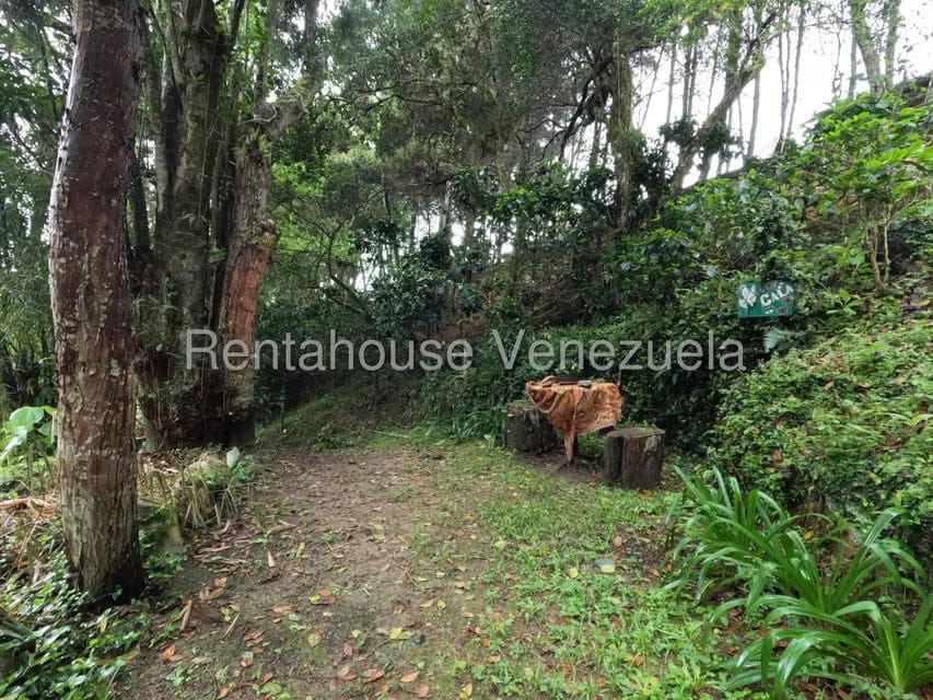 Casa (Multipes Niveles) en Venta en Jimenez, Lara - 50
