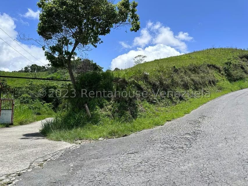 Terreno (Finca) en Venta en El Limon, Miranda - 11